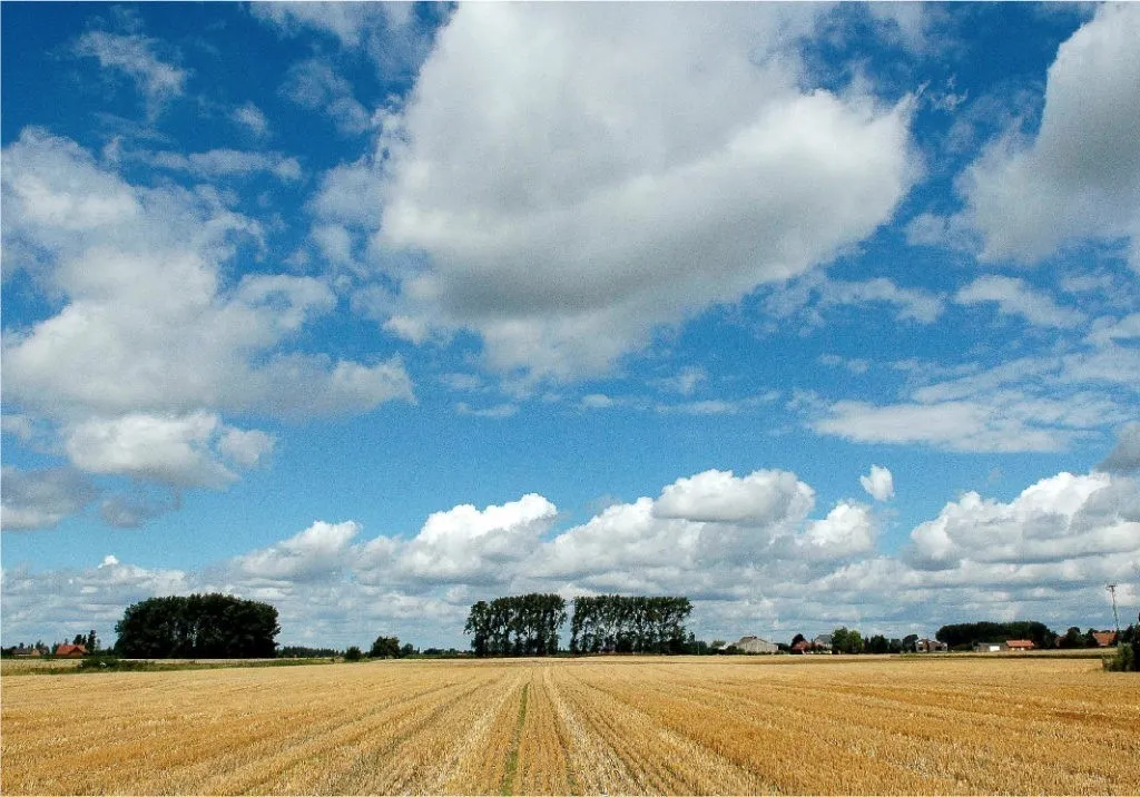 Campagne du Nord, Fleurbaix